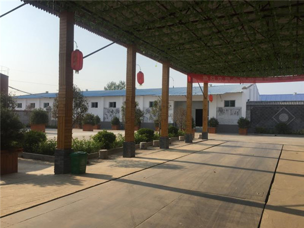 涇陽涇昌盛哪家好