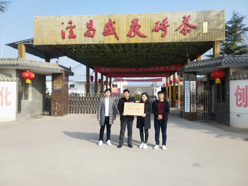 涇陽茯磚茶