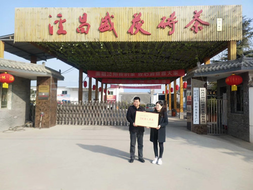 涇陽茯磚茶